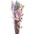 Floristik24 Mazzo di fiori secchi fiori di paglia Phalaris grano 58 cm