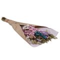 Floristik24 Mazzo di fiori secchi fiori di paglia Phalaris grano 58 cm