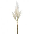 Floristik24 Erba di pampa bianca crema artificiale erba secca decorazione 82 cm