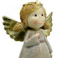 Floristik24 Decorazione dell&#39;Avvento, angelo custode, angelo di Natale, figura angelo H24cm