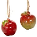 Floristik24 Decorazione autunnale a forma di mela in ceramica da appendere, 5 cm, 4 pezzi