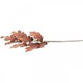 Floristik24 Acero pianta artificiale foglie d&#39;acero pianta decorativa foglia d&#39;autunno 74 cm