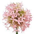 Floristik24 Allium rosa artificiale 51 cm