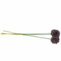 Floristik24 Allium ornamentale artificiale viola 70cm 3 pezzi
