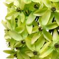 Floristik24 Cipolla ornamentale Allium, fiore di seta, palla artificiale verde porro Ø20cm L72cm