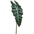 Floristik24 Foglia di freccia artificiale pianta artificiale alocasia deco verde 74 cm