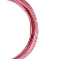Floristik24 Filo di alluminio 2mm rosa 3m