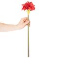 Fiore di amarillide rosso artificiale con stelo, decorazione floreale per Natale, 50 cm | Floristik24.it