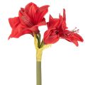 Fiore di amarillide rosso artificiale con stelo, decorazione floreale per Natale, 50 cm | Floristik24.it