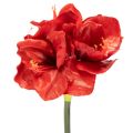 Floristik24 Fiore di amarillide artificiale, rosso, a stelo lungo, per vaso e composizione, 77 cm