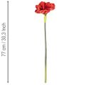 Fiore di amarillide artificiale, rosso, a stelo lungo, per vaso e composizione, 77 cm | Floristik24.it