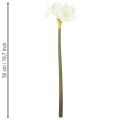 Fiore di amarillide artificiale, bianco, con stelo, Avvento e Natale, 50 cm | Floristik24.it