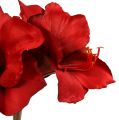 Floristik24 Amaryllis artificiale grande rosso 96,5 cm