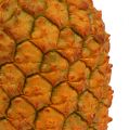 Floristik24 Ananas artificiale 21 cm arancione