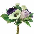 Floristik24 Mazzo con anemoni e rose Viola, crema 30 cm