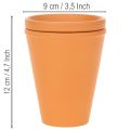 Serbatoio d'acqua Aquasafe con fontanella per insetti, ideale per giardino, balcone e terrazzo, 12 cm, 3 pezzi. | Floristik24.it
