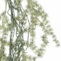 Floristik24 Ghirlanda di asparagi artificiali bianco, grigio appendiabiti 170cm