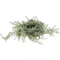 Floristik24 Ghirlanda di asparagi artificiali bianco, grigio appendiabiti 170cm