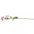Floristik24 Fiore di seta artificiale Astrania grande Masterwort bianco rosa L61cm