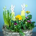 Floristik24 Supporto per coniglietto pasquale coniglietto verde in legno decorazione pasquale 4 pezzi