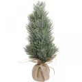 Floristik24 Mini albero di Natale innevato artificialmente in un sacco H33cm