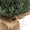 Floristik24 Mini albero di Natale innevato artificialmente in un sacco H41cm