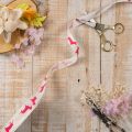 Nastro decorativo con motivo a bassotto, ideale come regalo, largo 15 mm e lungo 18 m. | Floristik24.it