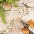 Nastro decorativo con agrifoglio e bacche, bordo dimensionalmente stabile, 25 mm, 18 m | Floristik24.it