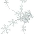 Floristik24 Nastro di raso Nastro natalizio fiocco di neve bianco 25 mm 5 m