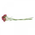Floristik24 Artificiale Sweet William Pink fiori artificiali garofani 55 cm pacco di 3 pezzi