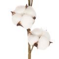 Ramo artificiale di cotone con
