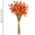 Grappolo di bacche arancioni, lungo 20 cm | Floristik24.it