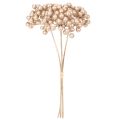 Ramo di bacche artificiali, decorazione color champagne, 28 cm, 3 pezzi | Floristik24.it