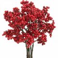 Floristik24 Ramo decorativo con bacche rosse ramo di bacche decorazione autunnale 26 cm 6 pezzi