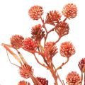 Ramo di bacche artificiali, decorazione autunnale realistica, 68 cm | Floristik24.it