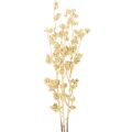 Floristik24 Decorazione artificiale a forma di ramo con bacche, color oro, 70 cm, 3 pezzi