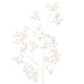 Floristik24 Ramo artificiale di bacche bianche, per decorazioni/lavoretti creativi, 52 cm