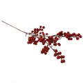 Floristik24 Ramo di bacche artificiali in rosso, ramo decorativo 68 cm