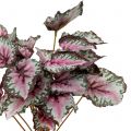 Floristik24 Cespuglio di begonia artificiale verde, viola 34 cm