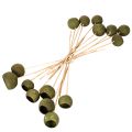 Campanula su stelo, verde, fiori esotici essiccati, 5 cm, 15 pezzi | Floristik24.it