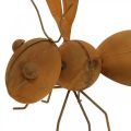 Floristik24 Figura decorativa ape, insetto in metallo, decorazione da giardino con patina L20cm H19cm