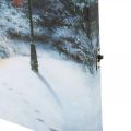Floristik24 LED murale paesaggio invernale con casa 38×28cm Per batteria