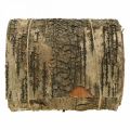 Floristik24 Rotolo di corteccia di betulla marrone, corteccia grigia per artigianato 15×300 cm
