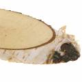 Floristik24 Fette di betulla ovale naturale 4×8cm 1kg per la decorazione