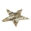 Stelle di betulla 6 cm 100 pezzi | Floristik24.it
