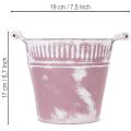 Secchiello in latta, lavato di viola e bianco, Ø19cm H17cm, 1 pz. | Floristik24.it