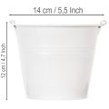 Secchielli in latta bianca Ø14cm H12cm 6 pezzi | Floristik24.it