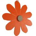 Floristik24 Ciondolo fiore, fiori decorativi arancio e bianco, decorazione in legno, estate, fiori decorativi 8 pezzi