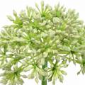Floristik24 Allium bianco artificiale 55 cm