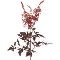Floristik24 Fiore artificiale Astilbe a stelo lungo, splendore, 80 cm